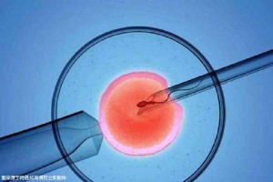 陈副主任医师